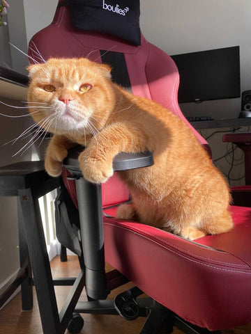 ゲーミング チェア 寝 れる​